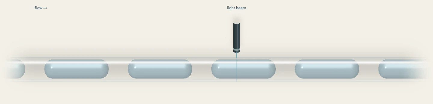 An animation rendering: blue droplets separated by clear oil flow through a glass tube. A light beam shines straight down into the tube from a fiber tip above it.